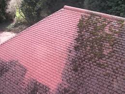 Roof Cleaning